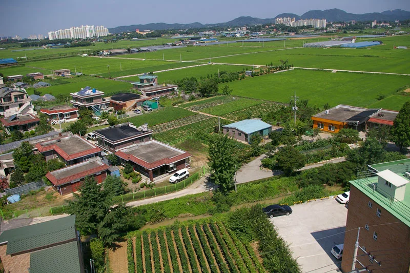 안성시 안성의 논과 마을